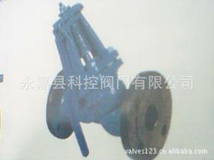 排污閥供貨清單（第37頁） 結(jié)構(gòu)與性能概覽